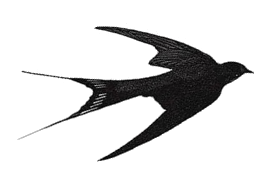 Screenshot-from-2018-03-13-15_33_26.png