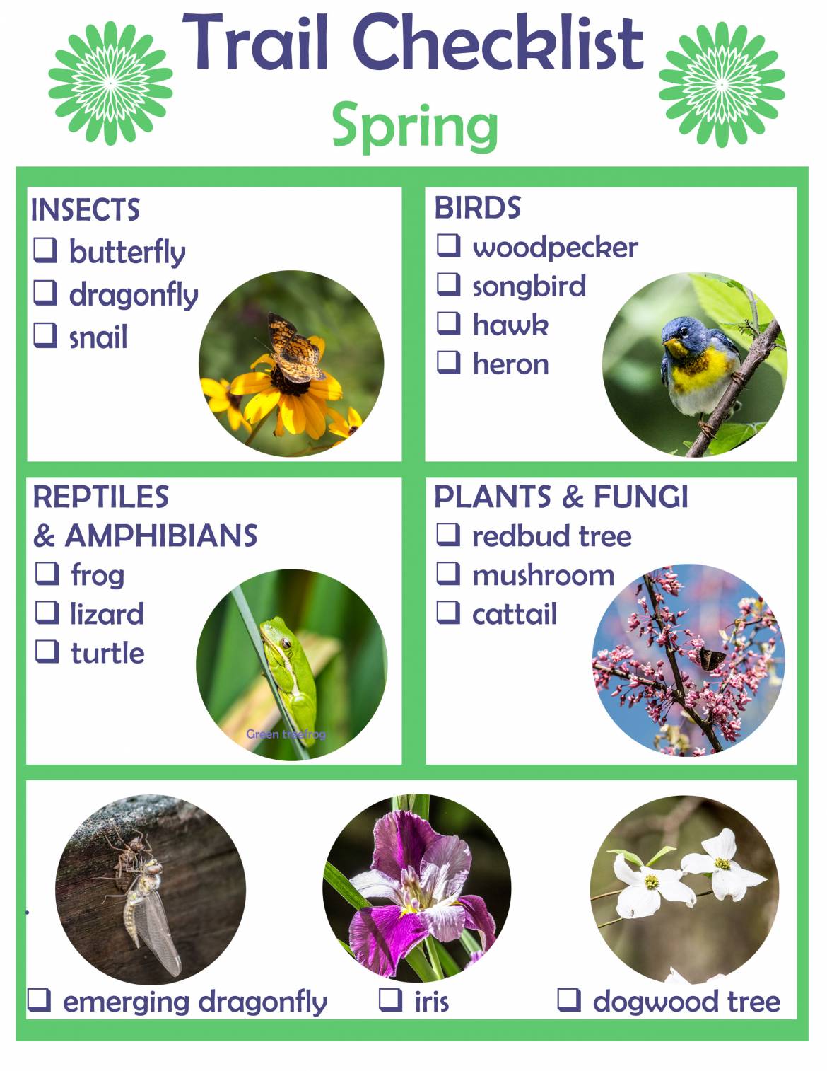 spring.jpg
